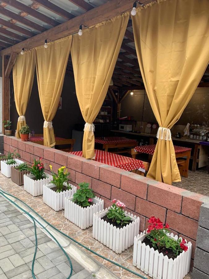 Гостевой Дом Пегас Hotel Pitsunda Eksteriør billede